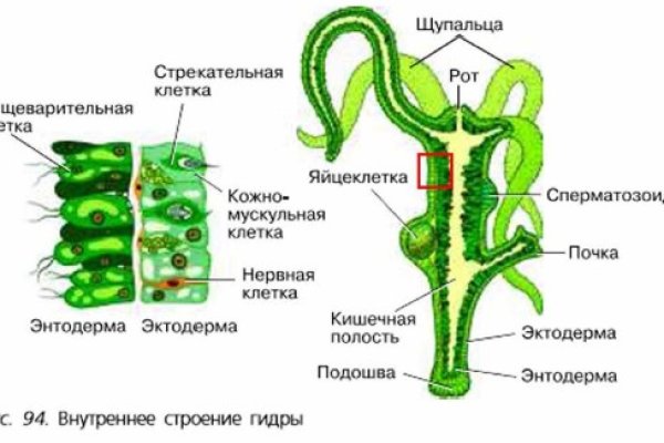 Кракен площадка vk2 top